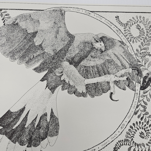 Harris Hawk Bird Art Prints Numbered & Artist Signed Wildlife Set Of 3 - Picture 7 of 16